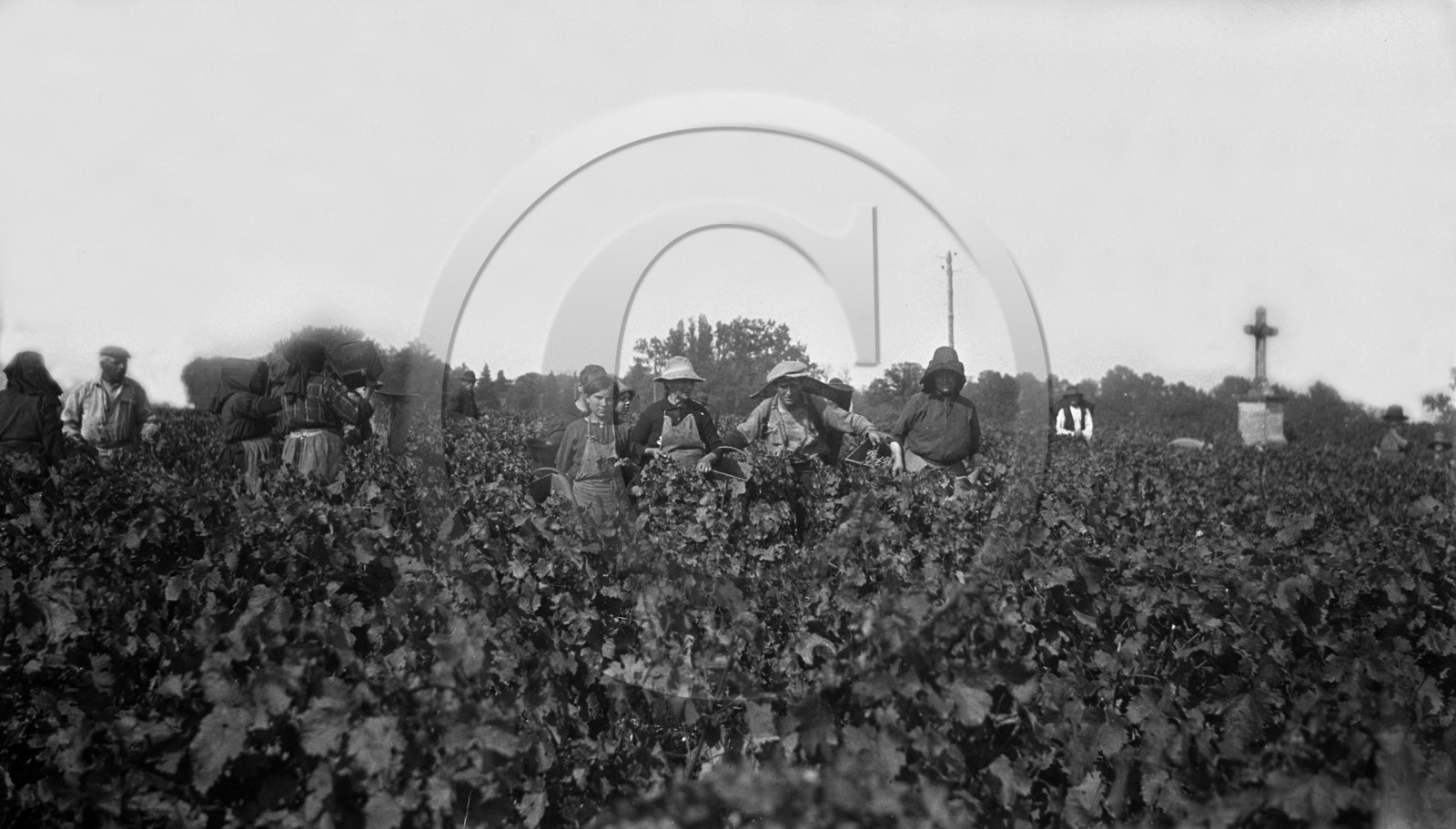 AG 237 chateau Latour 1924  .jpg