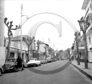 arcachon avenue Gambetta arrachage des platanes mercredi 17 janvier 1962 -3-.jpg