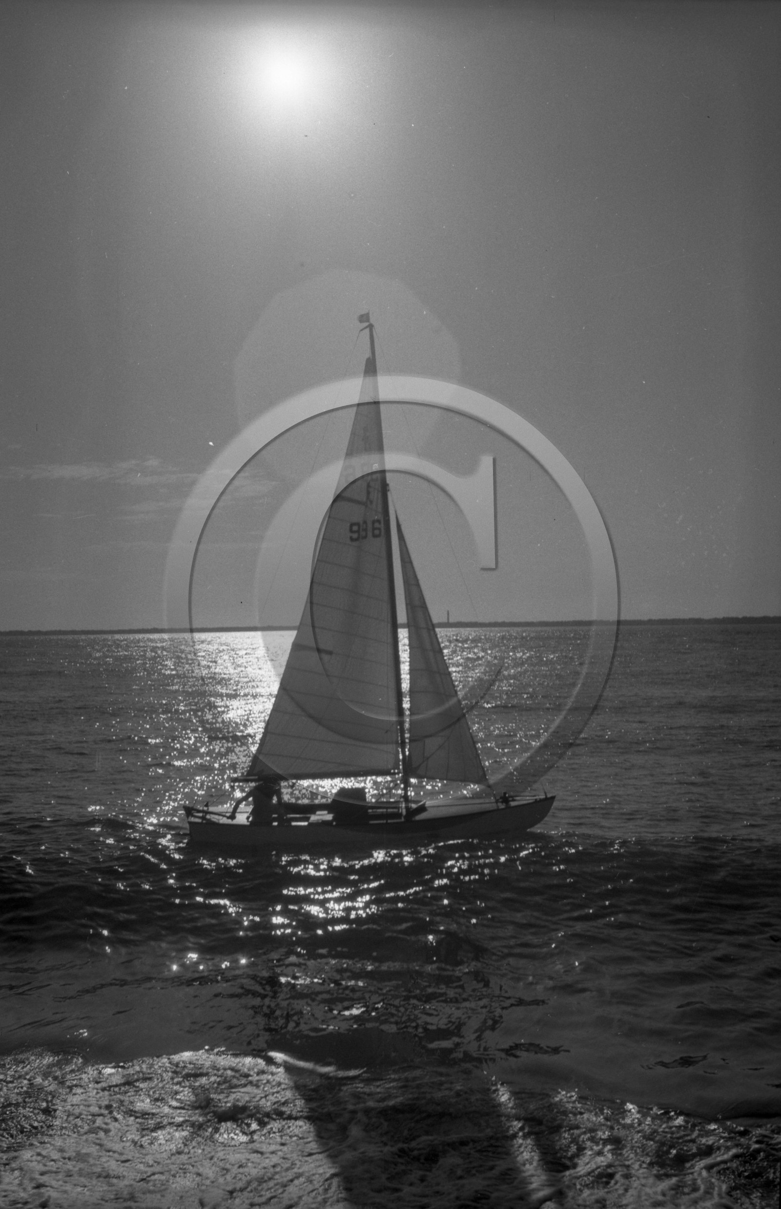 arc 4380 caneton 996 en contre jour .jpg