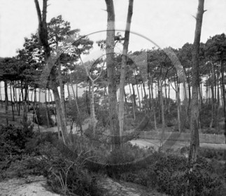 arc 4641 les Abatilles .jpg