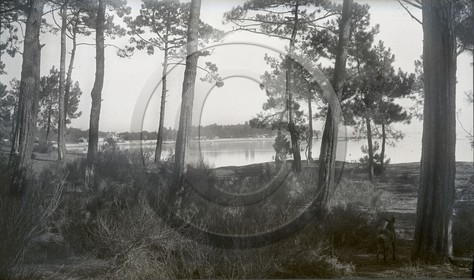 arc 1535 l'herbe.jpg