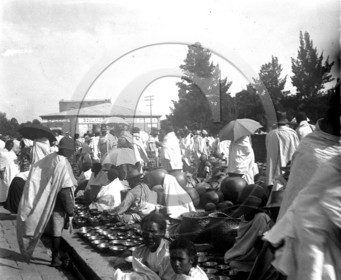 Madagascar marche .jpg