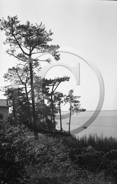 arc 4398 pins abatilles .jpg