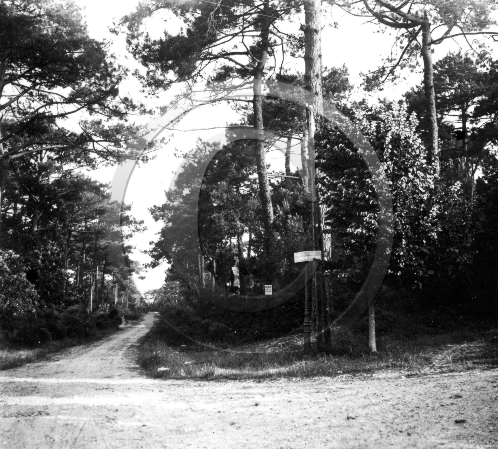 arc 4149 le Moulleau angle allée des tilleuls et allée de la plage.jpg