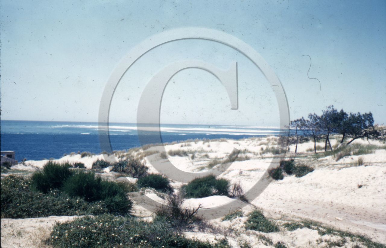 arc 1915 blockhaus dune du Pyla  .jpg