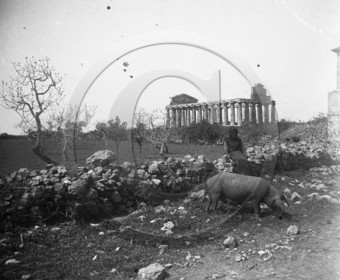 Paestum temple de Ceres  Italie.jpg