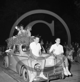 AUCE 295 Peugeot 203 .jpg