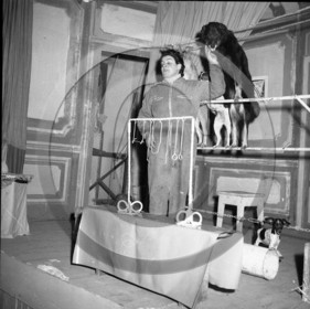 FO-CIRQUE  78  chiens savants  .jpg