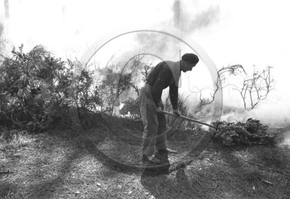 Pompiers du bassin d'Arcachon
