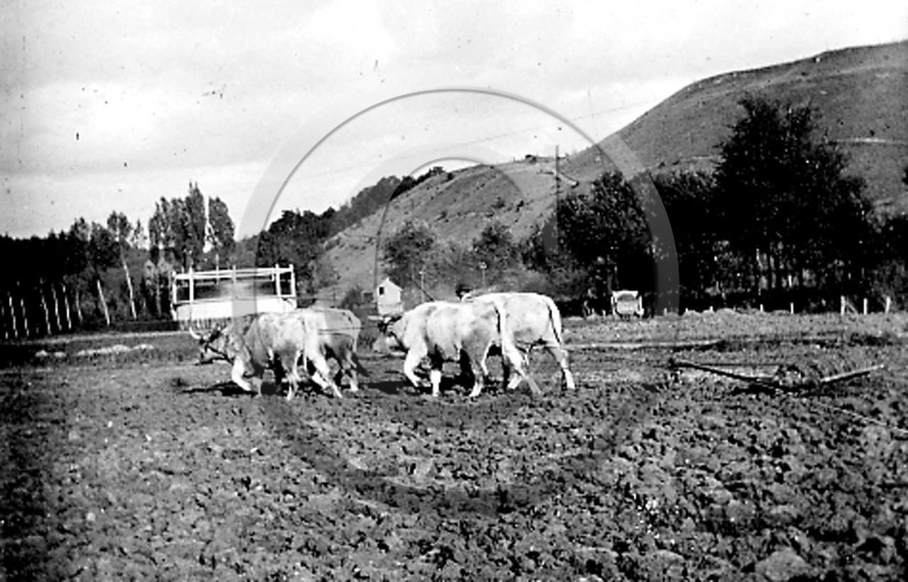 vi  111 Creil  1906 brise mottes.jpg