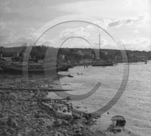 BA 519 etang de thau.jpg