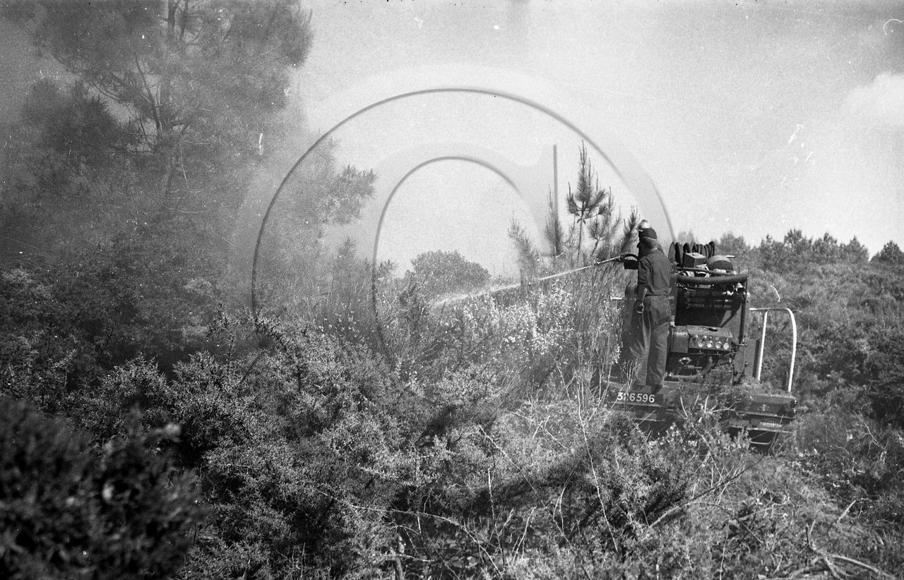 Pompiers du bassin d'Arcachon