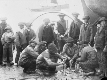 BA 408 Douarnenez  dpt 29 .jpg