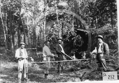 SL 212 Grignols palombieres.jpg