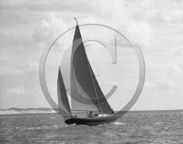 arc 3986 Danaé noir blanc.jpg