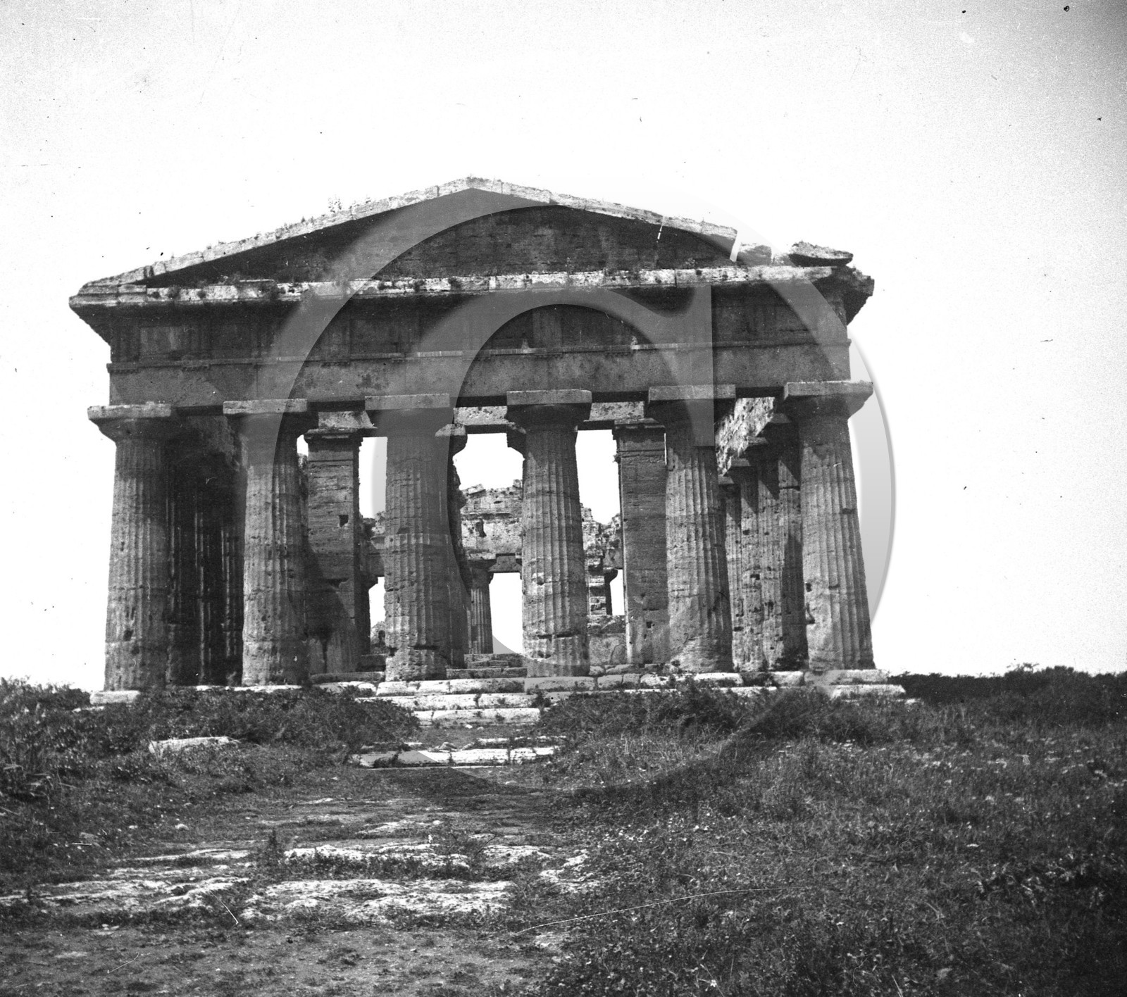 Poestum temple d Hera  ou de Neptune   Italie .jpg