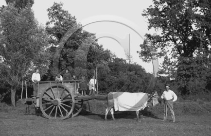 CHARETTE 4 ENFANTS DEDANS.jpg