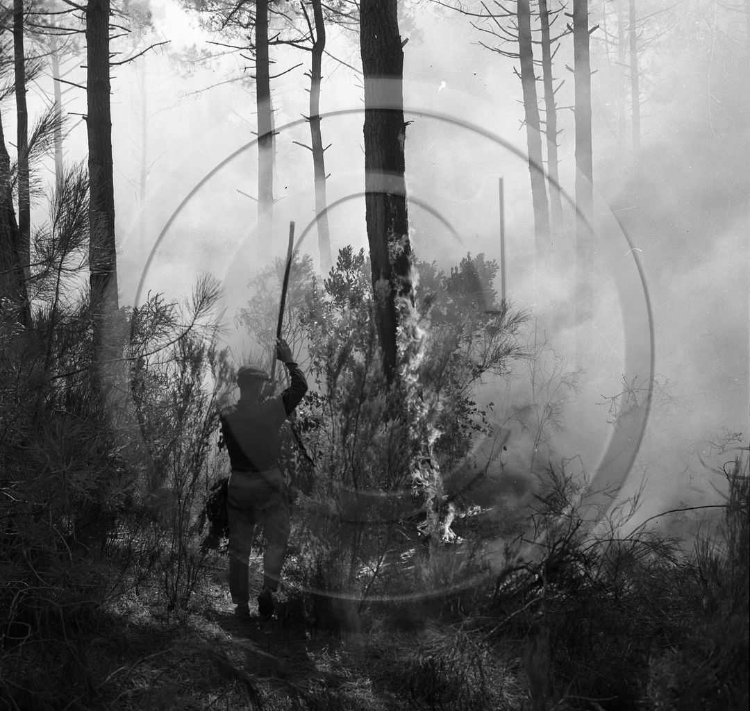 Pompiers du bassin d'Arcachon