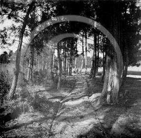 arc 4616 Cazaux .jpg